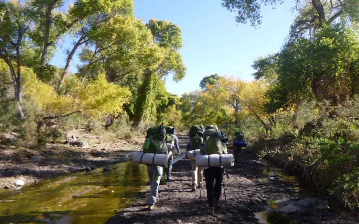 a group of students carrying backpacks hike alongside a tree-lined creek in texas